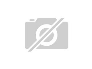 Verkaufe 2 griechische landschildkröten geb 07. 2021
